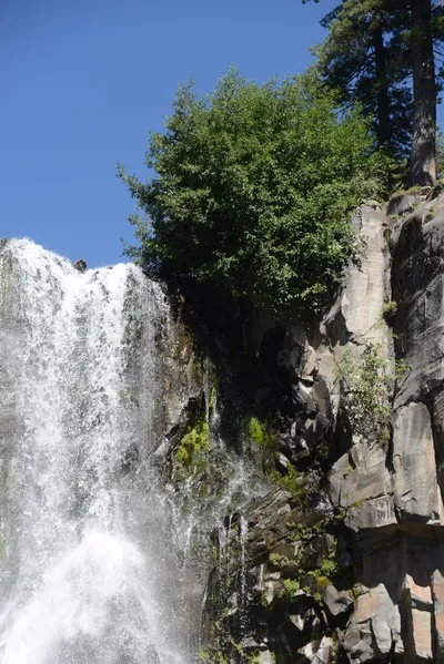 DSC_3835 (Large).JPG